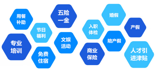 提供全面、系統、專(zhuān)業(yè)的培訓和廣闊的<br>職業(yè)發(fā)展空間和提升機會(huì )